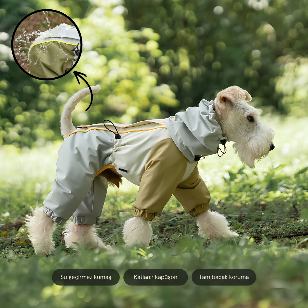 Lakeland Raincoat