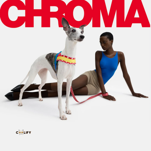 Chroma Pet Walk Kit