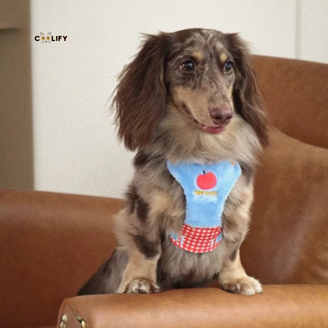 Softie Göğüs Tasması