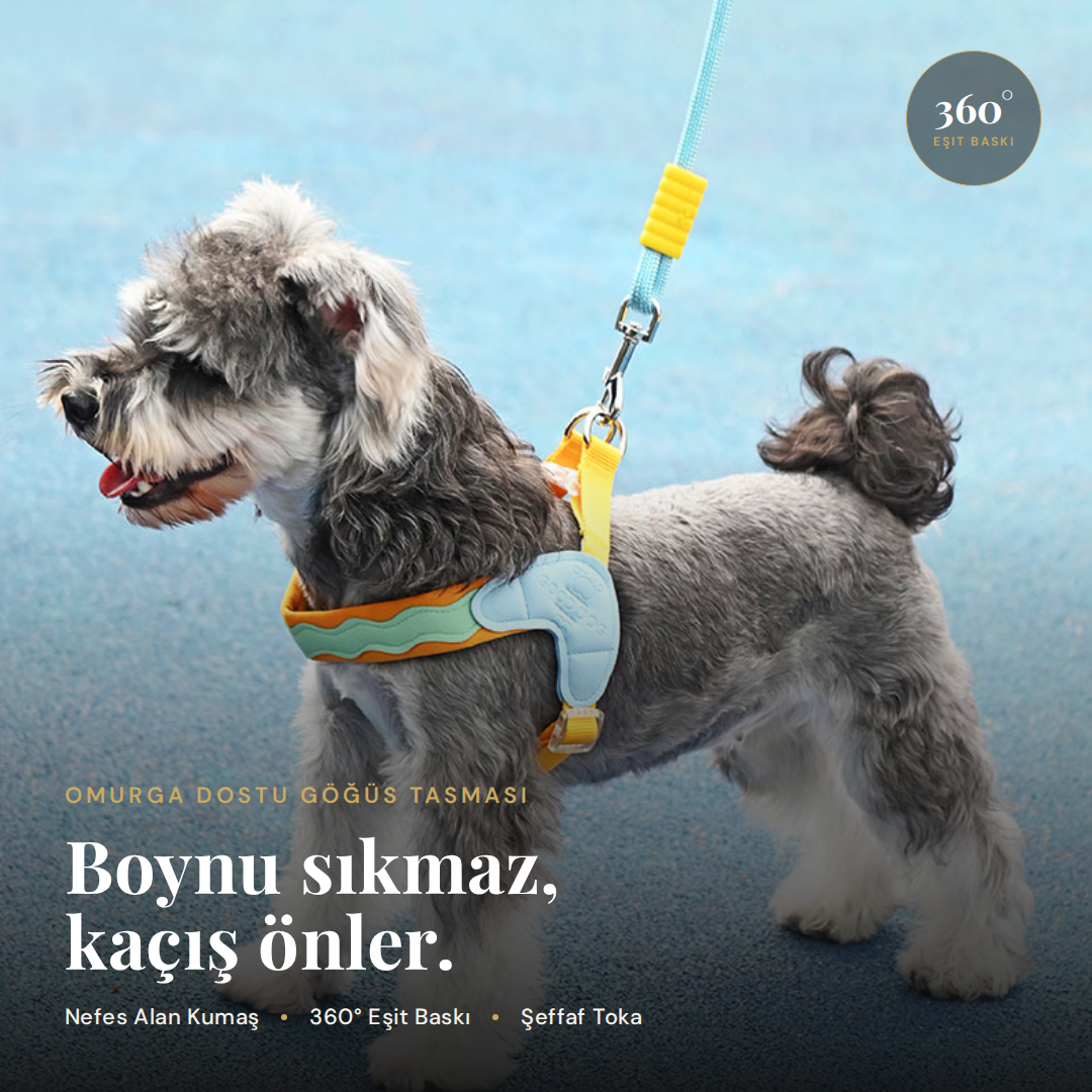 Zennum Yürüyüş Seti