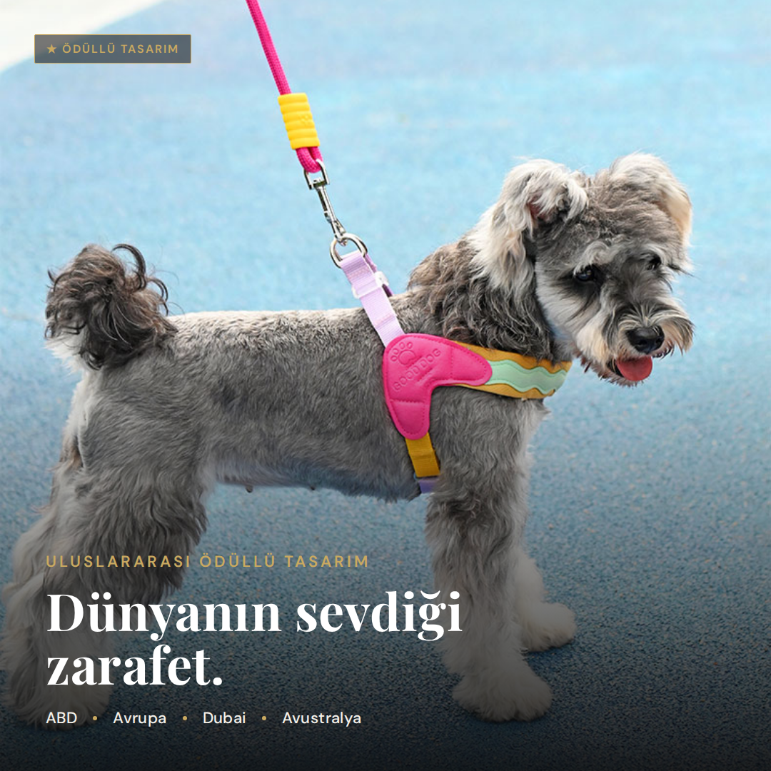 Zennum Yürüyüş Seti