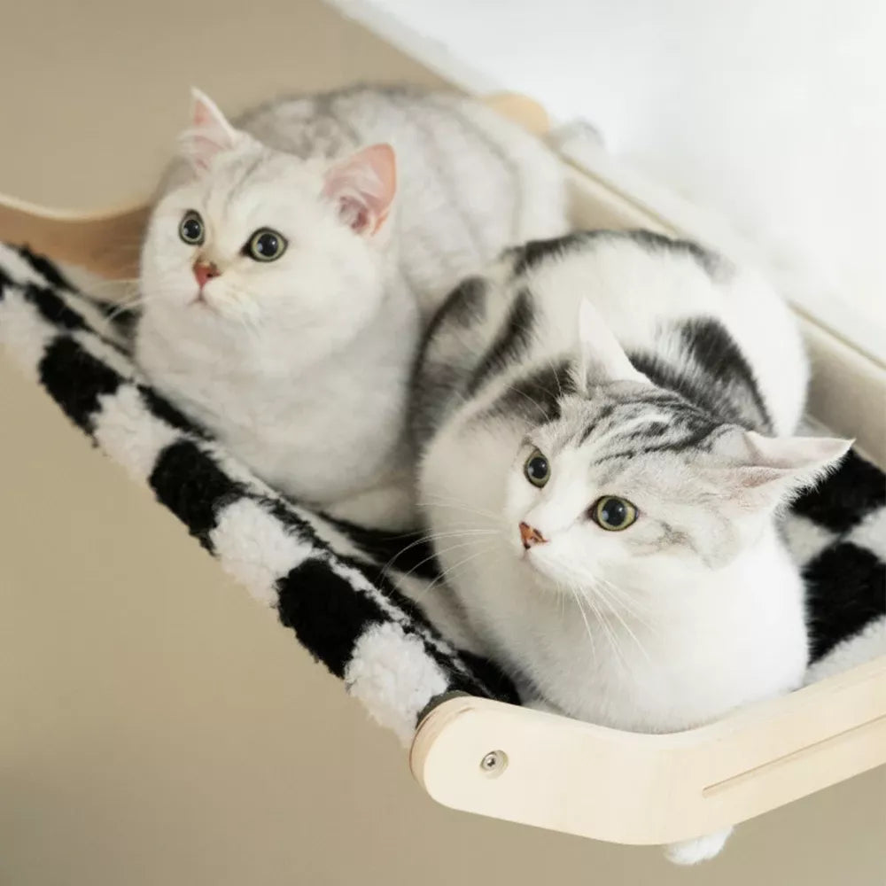 Sağlam İmparatorluk Kedi Yatağı