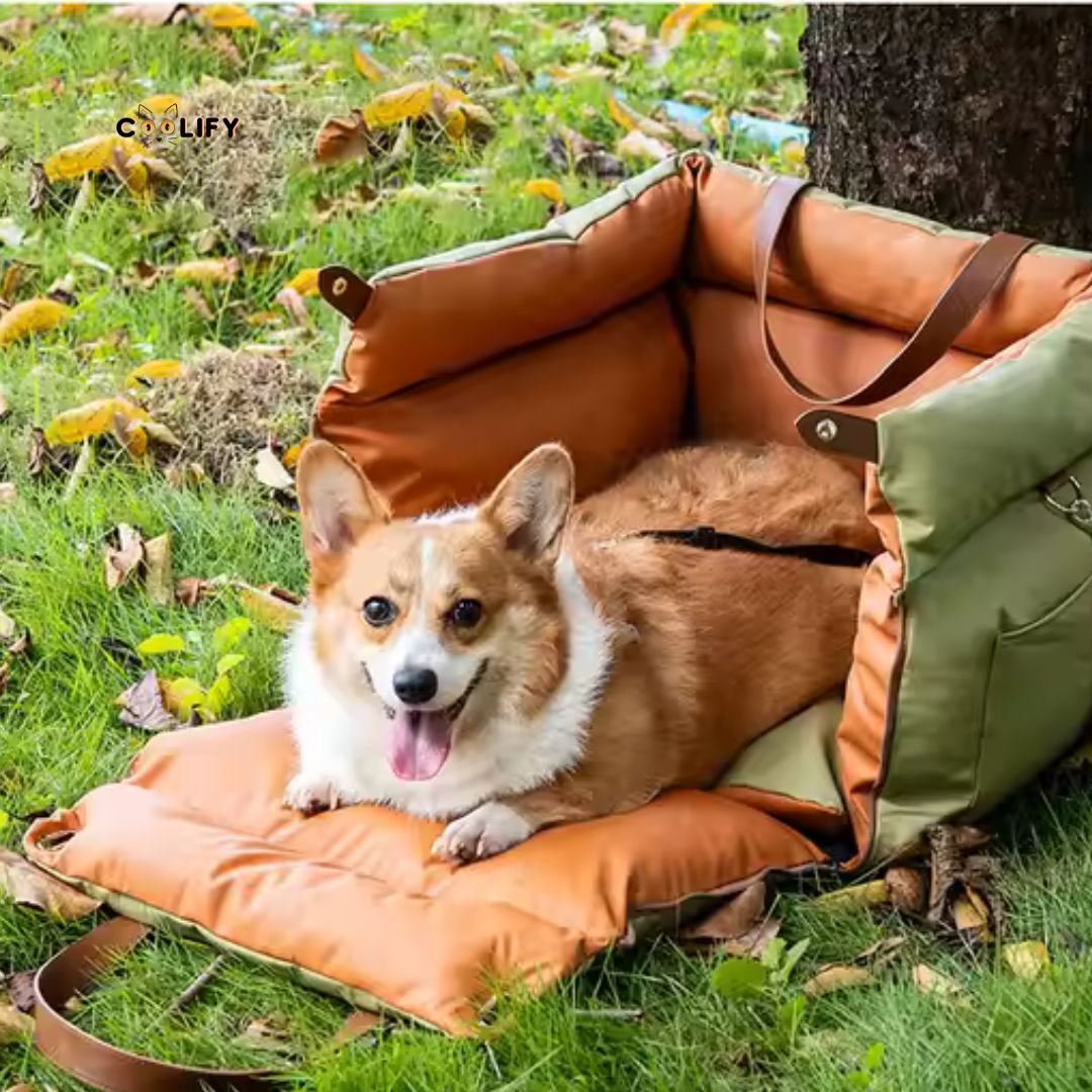 Urban Nomad Araç Çantası