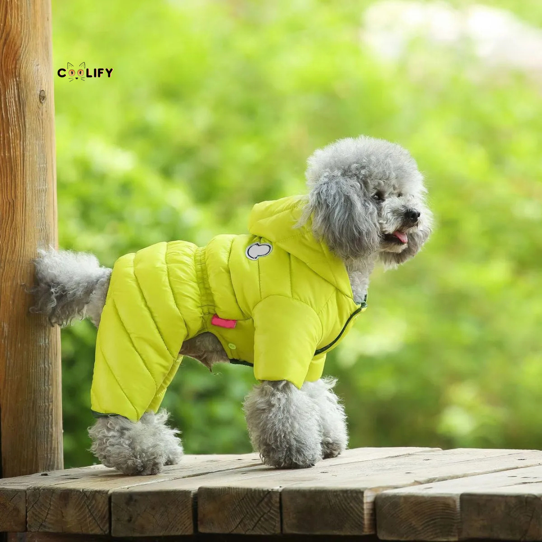 Thermo Paw Kışlık Mont