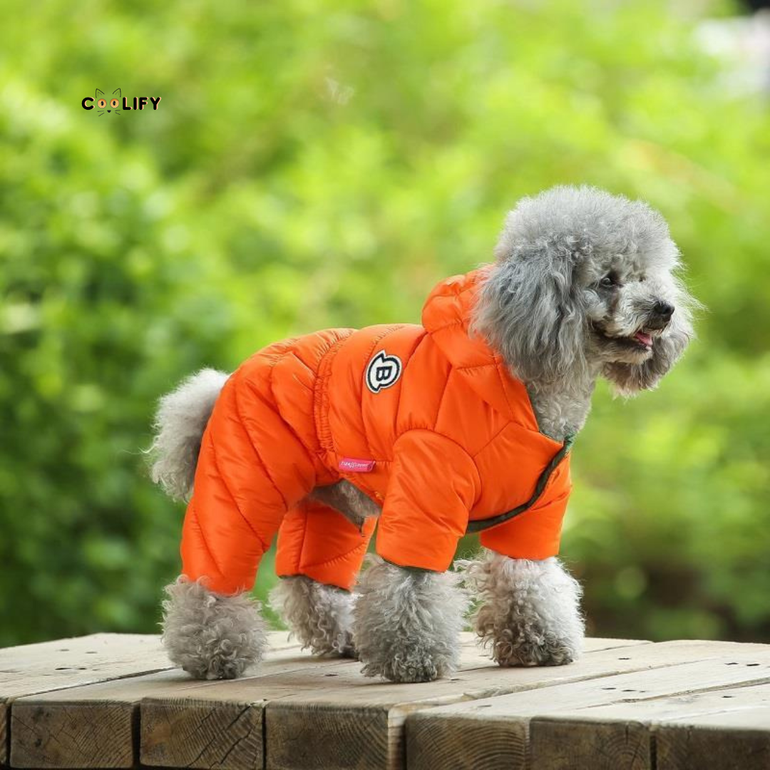 Thermo Paw Kışlık Mont