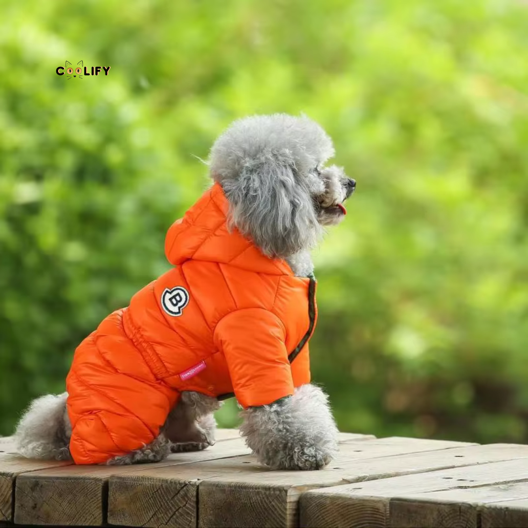 Thermo Paw Kışlık Mont