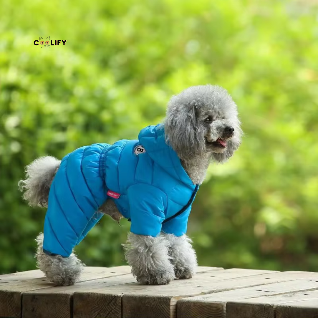 Thermo Paw Kışlık Mont