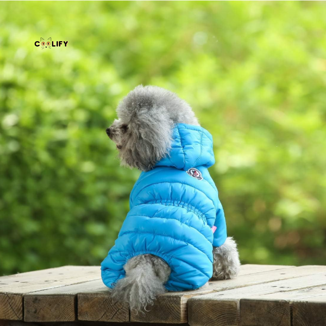 Thermo Paw Kışlık Mont