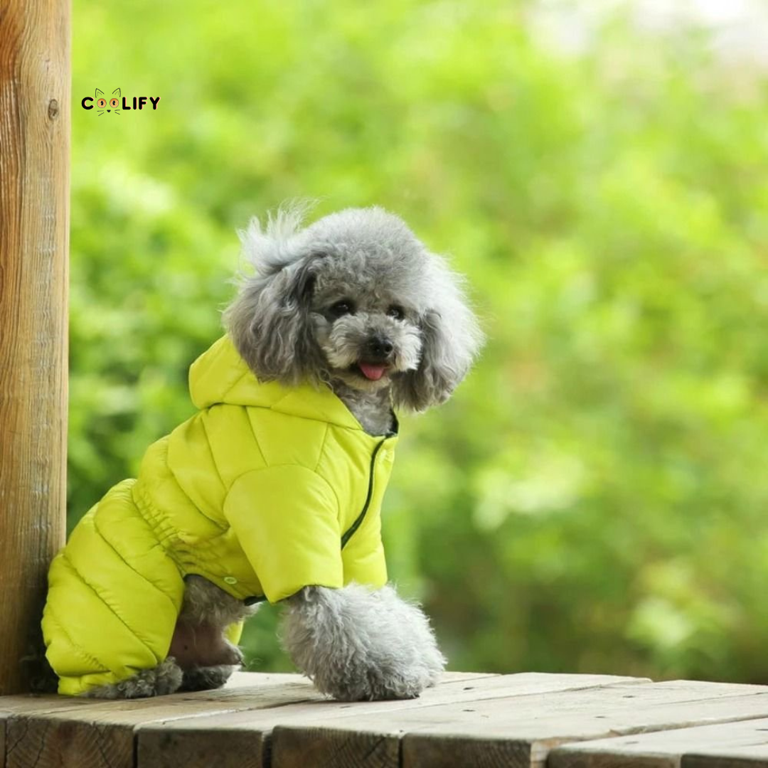 Thermo Paw Kışlık Mont